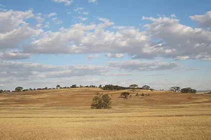 A photo of a field and sky