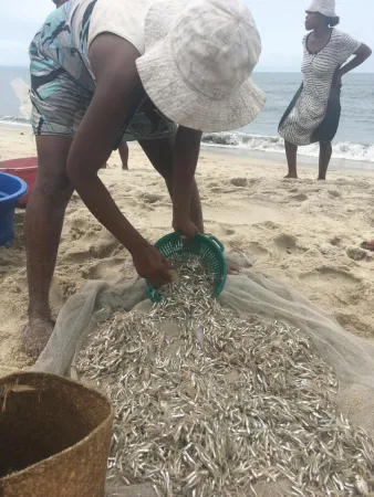 A woman taking fish out of a bed net in Madagascar