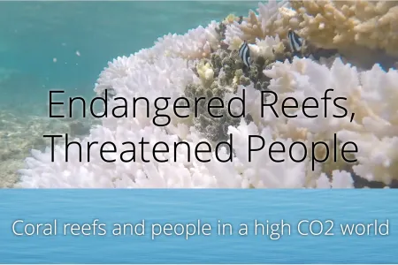 Endangered Reefs Story Map