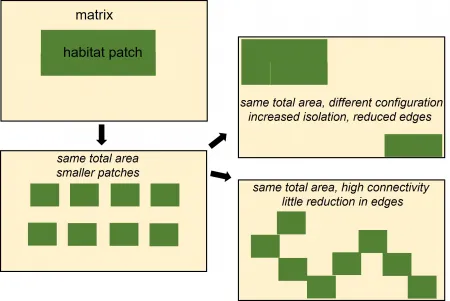 Spatial ecology patches