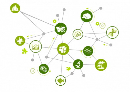 A graphic showing the different nodes and connections in a generic network