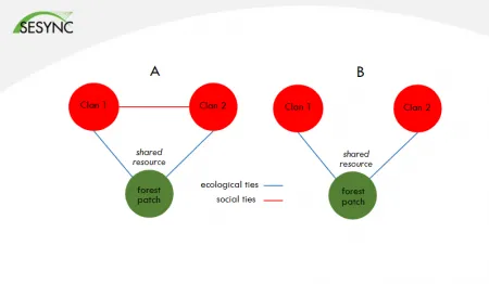 cooperation diagram