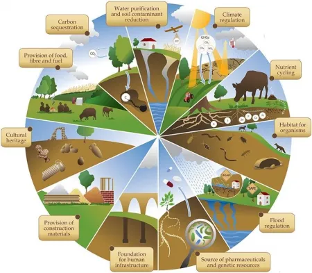 pie image of different ecosystem service and natural capital of soil