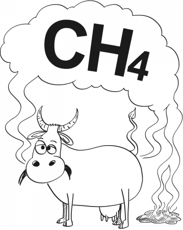 An illustration of a cow burping with methane coming out