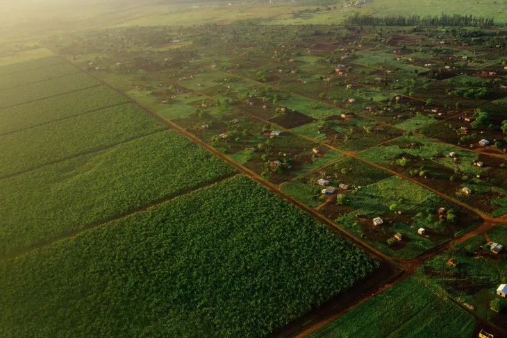An aerial view of large fields next to smaller plots of land with homes