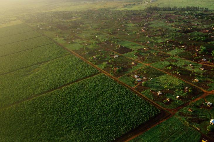 An aerial view of large fields next to smaller plots of land with homes