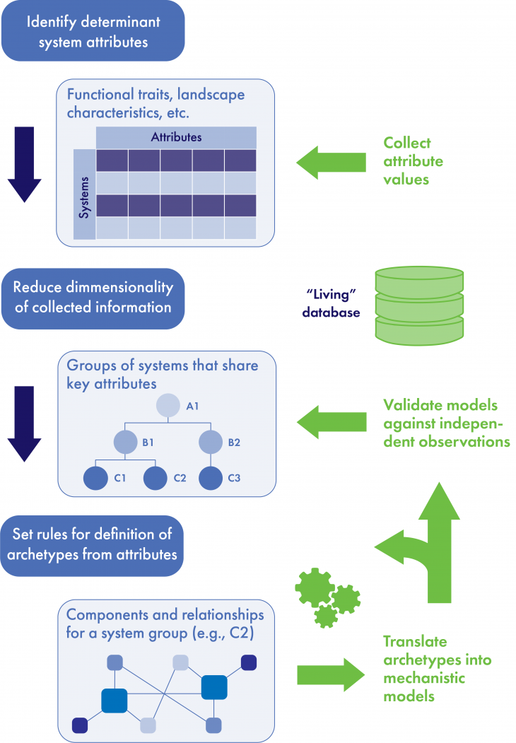 A schematic illustrating a quantitative approach to archetype analysis.