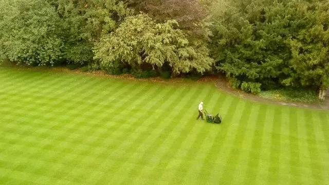 A man mowing the lawn into a striped pattern with trees behind him