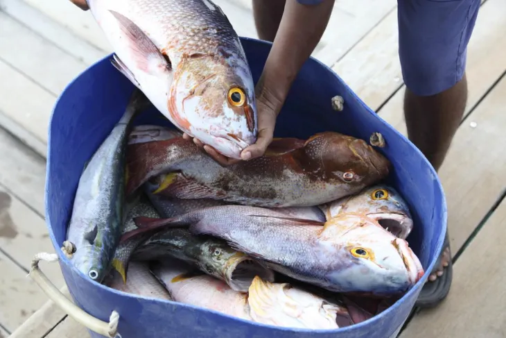 A closeup of hands holding a fish over a blue bucket filled with other caught fish