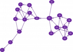 purple network